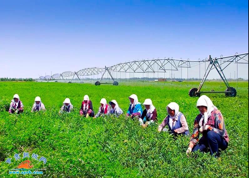 张掖民乐做好“加减法” 新建高标准农田逾36万亩