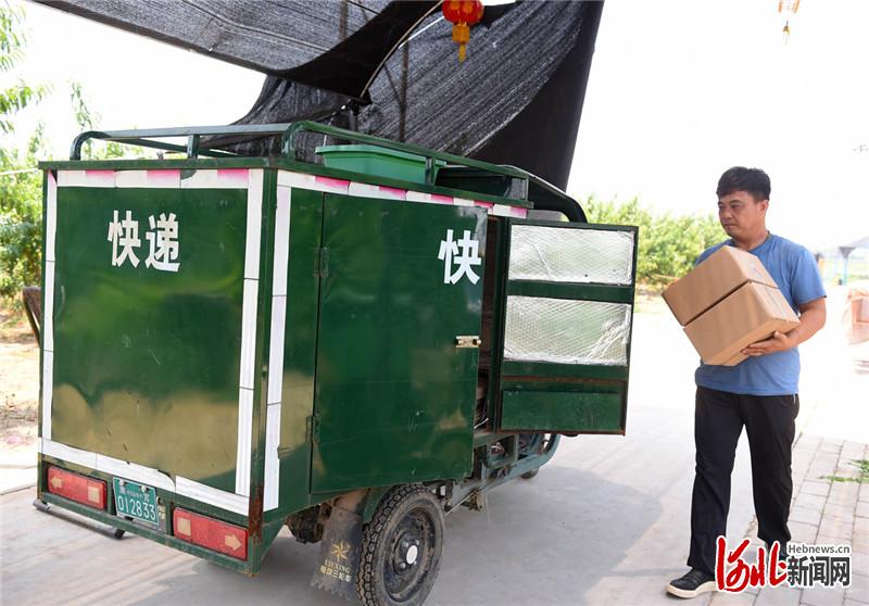 近日，河北省南宫市省级农业园区的数字农场工作人员在将客户网上订购的蟠桃装车。河北日报记者赵永辉摄影报道