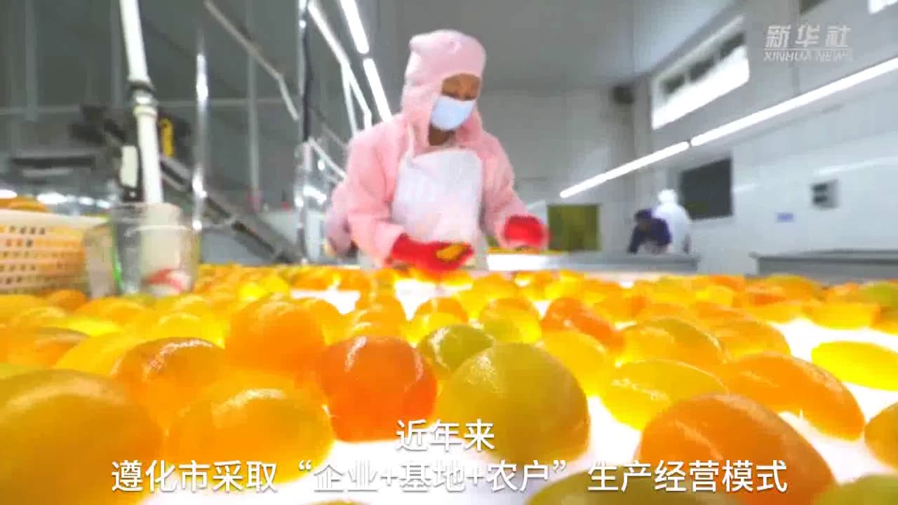 鲜果变身！冀东农业深加工助农增收