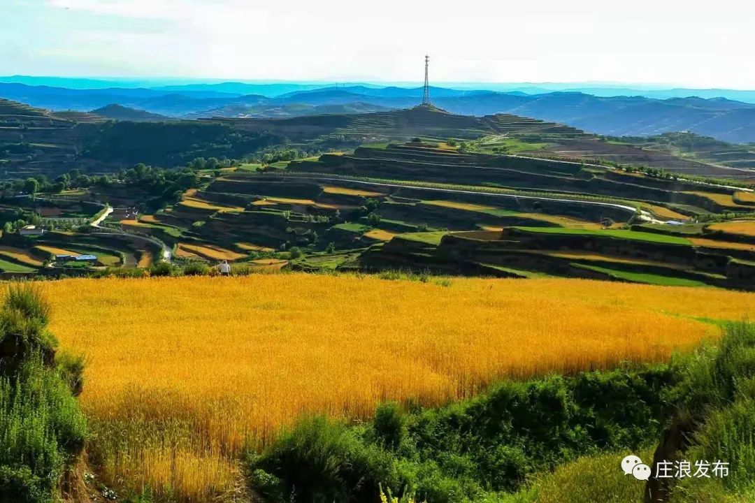 庄浪：“铁姑娘”再聚首 讲述“梯田”往事