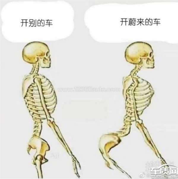粉丝社群更名“蔚你折腰” 蔚来多位车主投诉座椅存缺陷