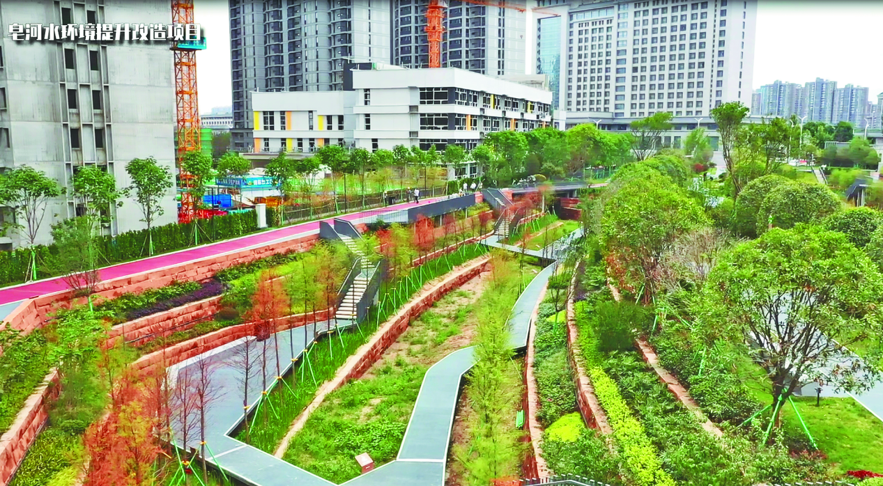 西安高新区:皂河变身休闲观光“民心河”