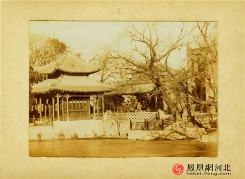 图5:来自古莲花池