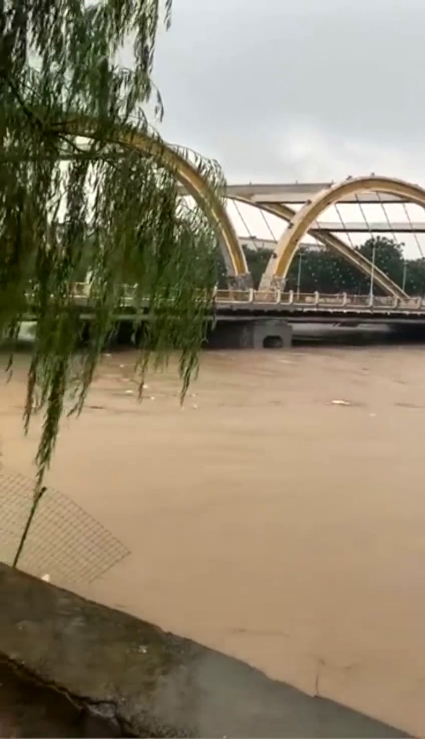 河南安阳暴雨图片