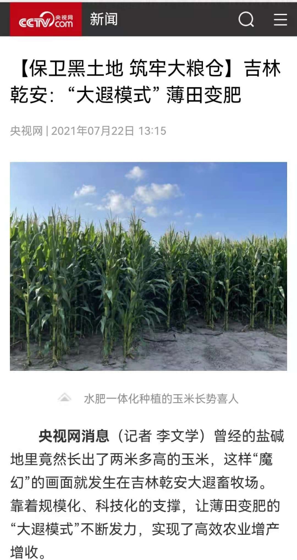 8AAFA74E38AFB99FC3FF222FCC5582B148D607A0_size317_w600_h1131.jpg