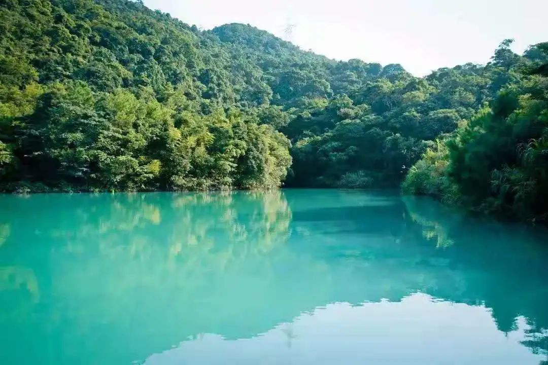 云雾缭绕醉人心 快来邂逅雨后的观音山吧!