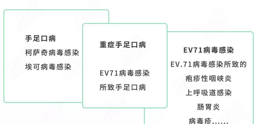 ev71疫苗是预防什么的图片