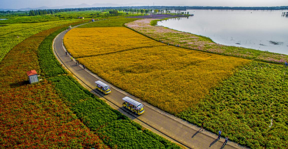 高淳固城湖水慢城（高淳生态环境局供图）