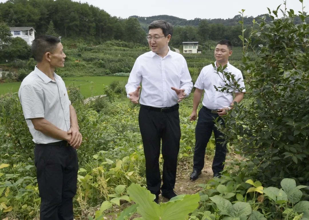 涪陵书记王志杰加快乡村产业发展努力绘就乡村振兴的壮美画卷