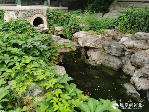 图2：来自古莲花池