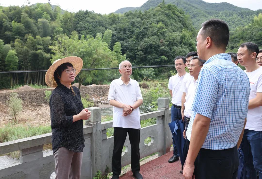 7月23日下午,浦江縣委書記俞佩芬率隊前往大畈鄉上河村,檀溪鎮九母島