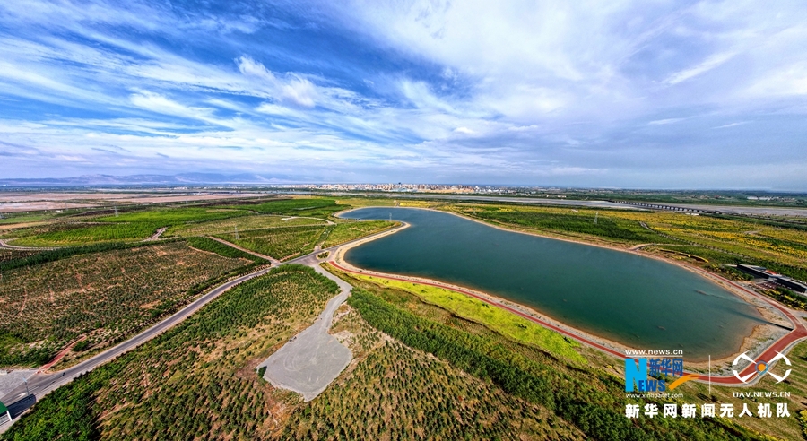 这是近日航拍的张掖城市森林公园风光 新华网发 （郑旺 摄）