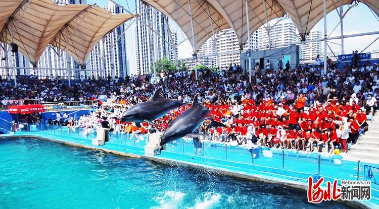 7月20日上午，秦皇岛市新澳海底世界海豚表演馆内掌声雷动，动物管理员与海豚明星的精彩表演为“来自星星的孩子”带来了假日里的轻松与喜悦。