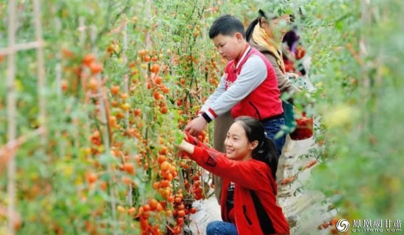 沁园春田园综合体项目位于兰州市榆中县和平镇高营村,让游客体验乡村休闲、农事采摘的乐趣。夏枫 摄