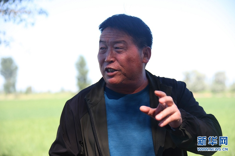 饮马农场副场长赵富强介绍农场高效节水情况（7月4日摄） 新华社记者 刘诗平 摄