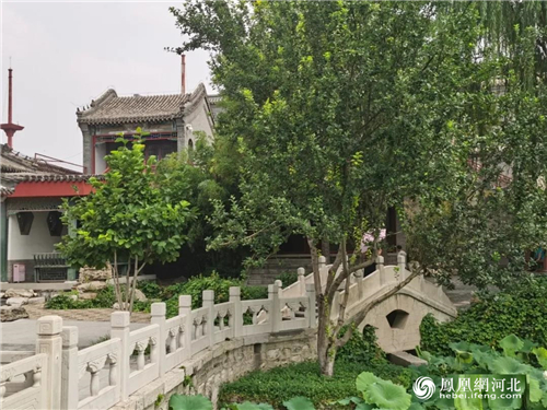 图4：来自古莲花池