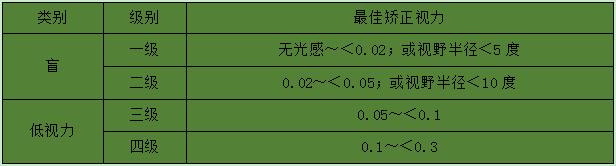 我国视力残疾的分级
