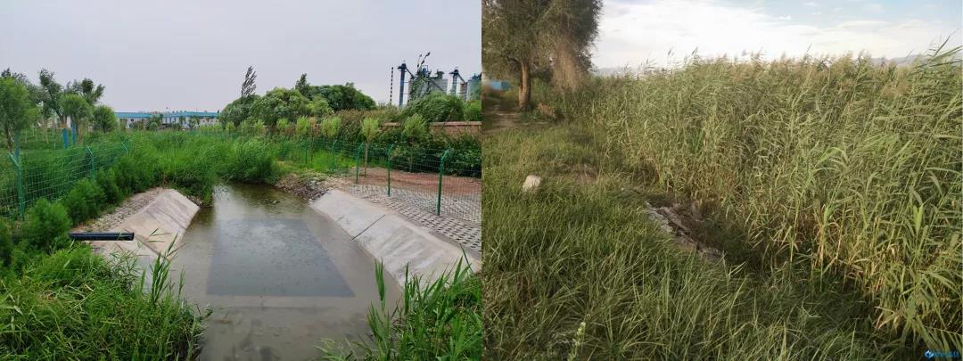 左图为黄水沟治理后，右图为黄水沟治理前