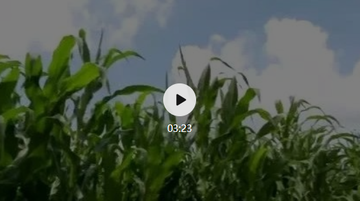 “根植黑土 司法为农” ——全媒体直播聚焦梨树郭家店“田间法庭”