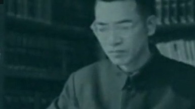 陈景润是如何进入中国科学院数学研究所工作的？