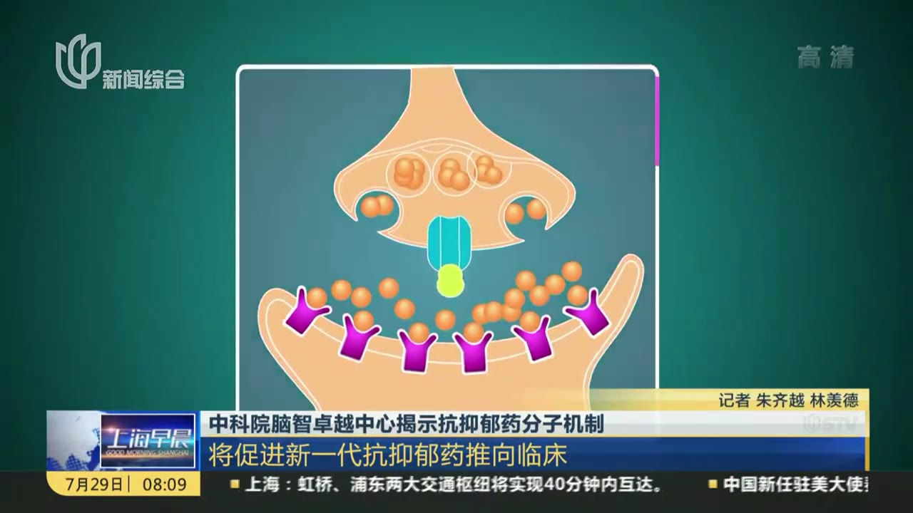 中科院脑智卓越中心揭示抗抑郁药分子机制：将促进新一代抗抑郁药推向临床