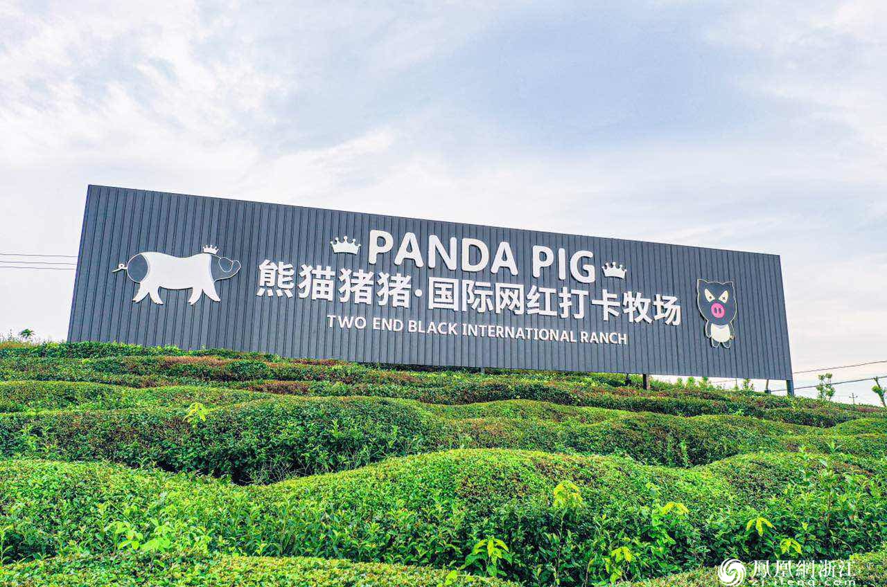 全球首个“熊猫猪猪两头乌国际牧场”开业啦！