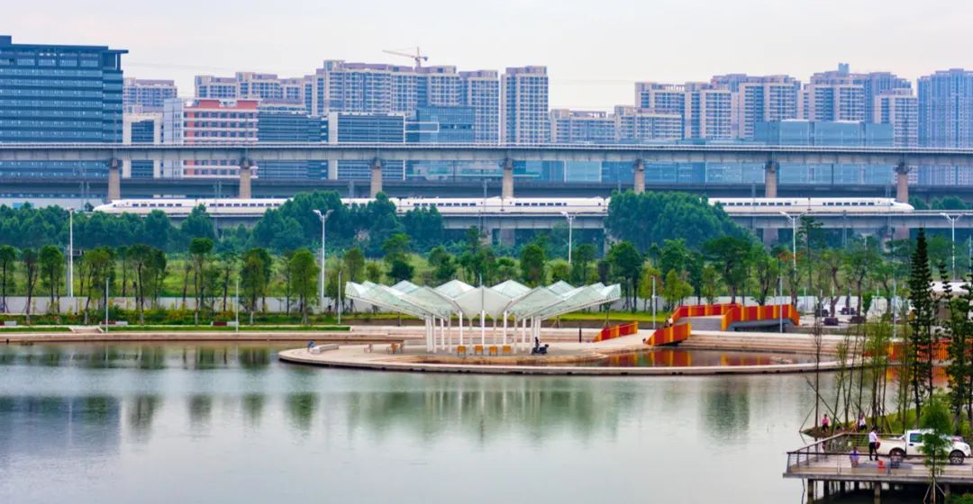 大湾区最网红街道 央视第一站为什么是这？