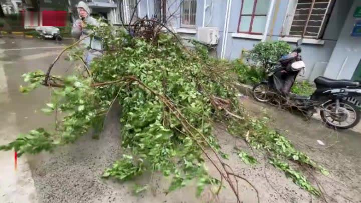 台风“烟花”来袭 上海风力强劲:多小区树枝被吹落_凤凰网视频_凤凰网