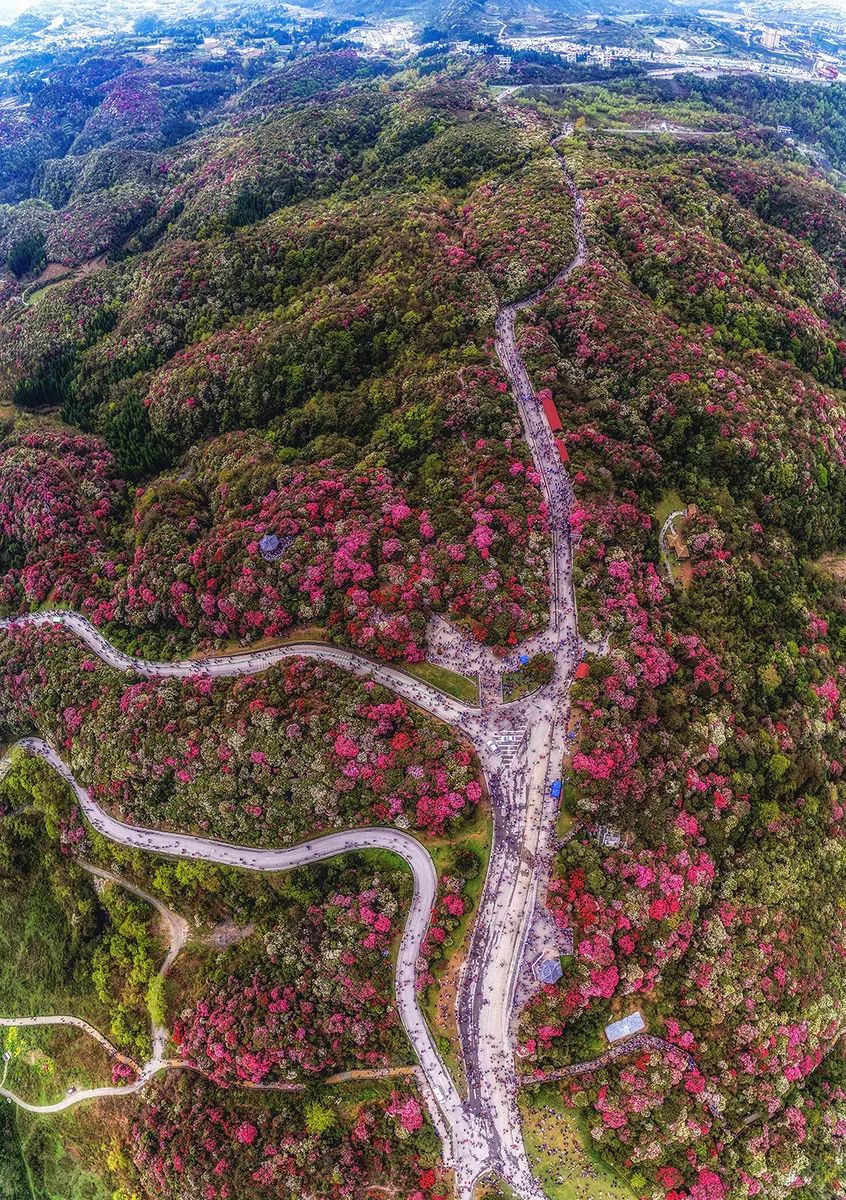 ©图虫 老李哥