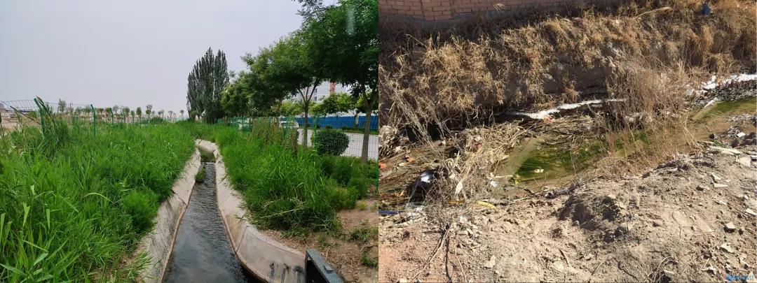 左图为东泉干渠治理后，右图为东泉干渠治理前
