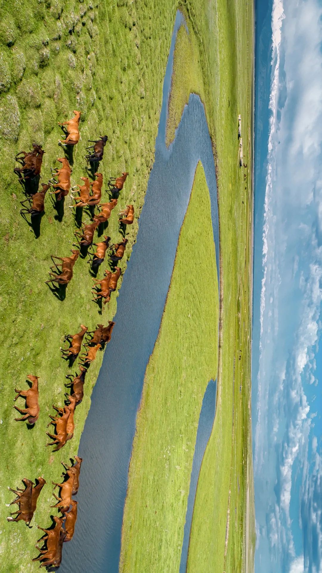  群马奔腾在河畔，伊犁的昭苏是著名的“天马之乡”，盛产骏马。摄影/赖宇宁