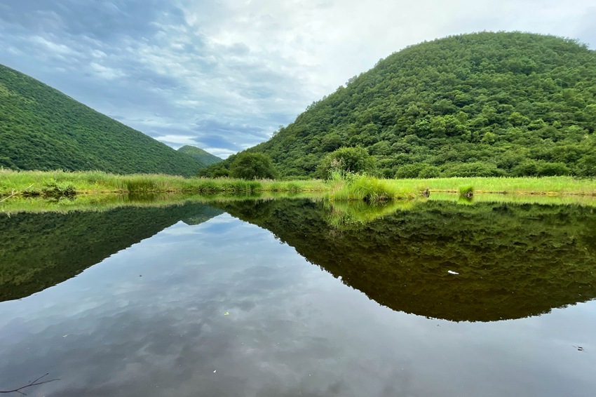 递交 生态答卷 重庆五里坡自然保护区 申遗 成功 凤凰网