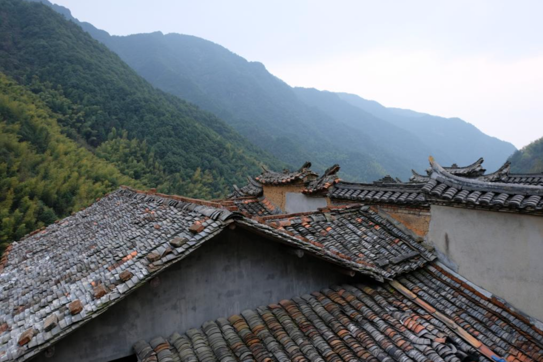 △ 揽树山房的老祠堂