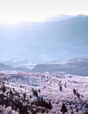 ©抖音 今日毕节