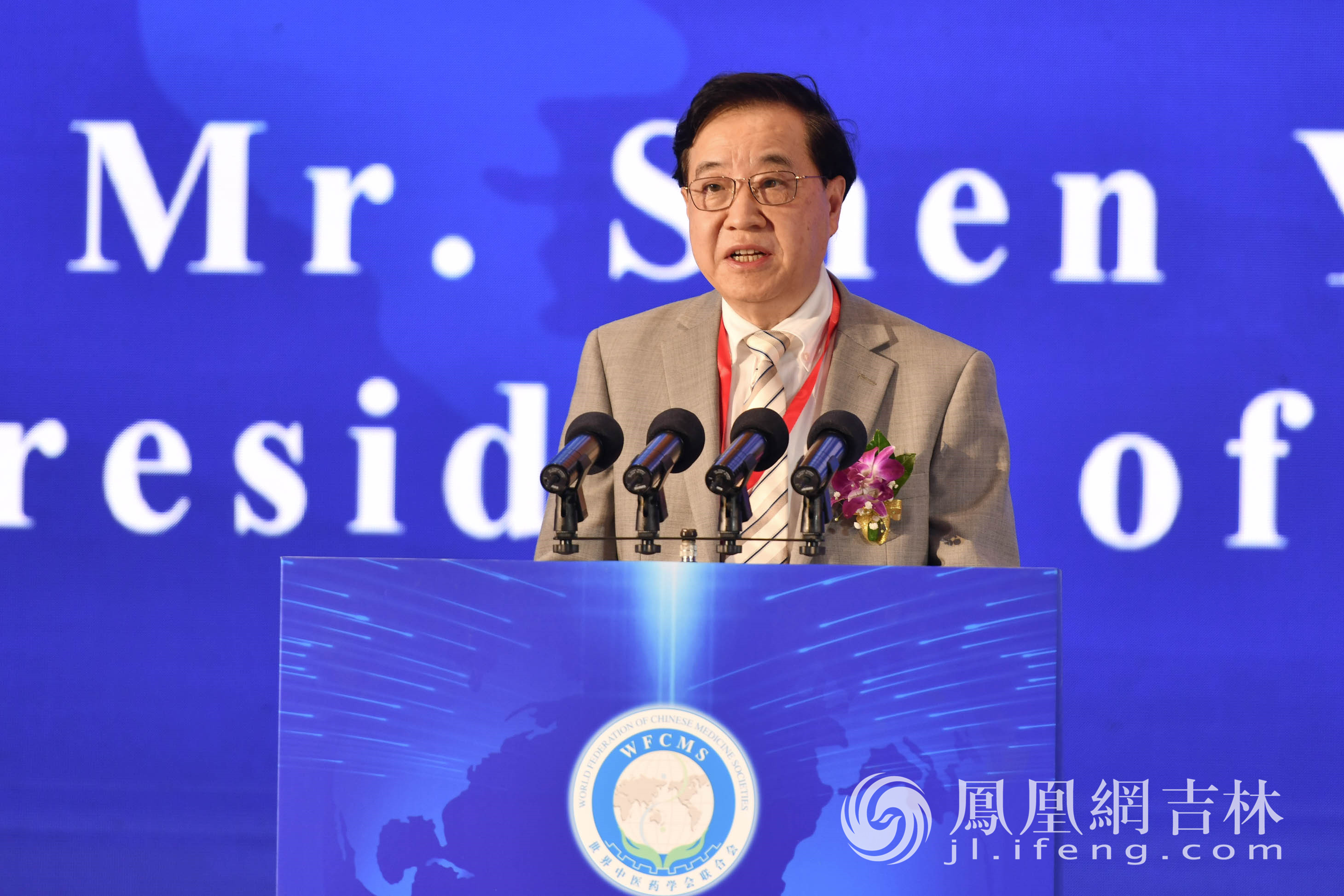 国际标准化组织/中医药技术委员会主席沈远东致辞。