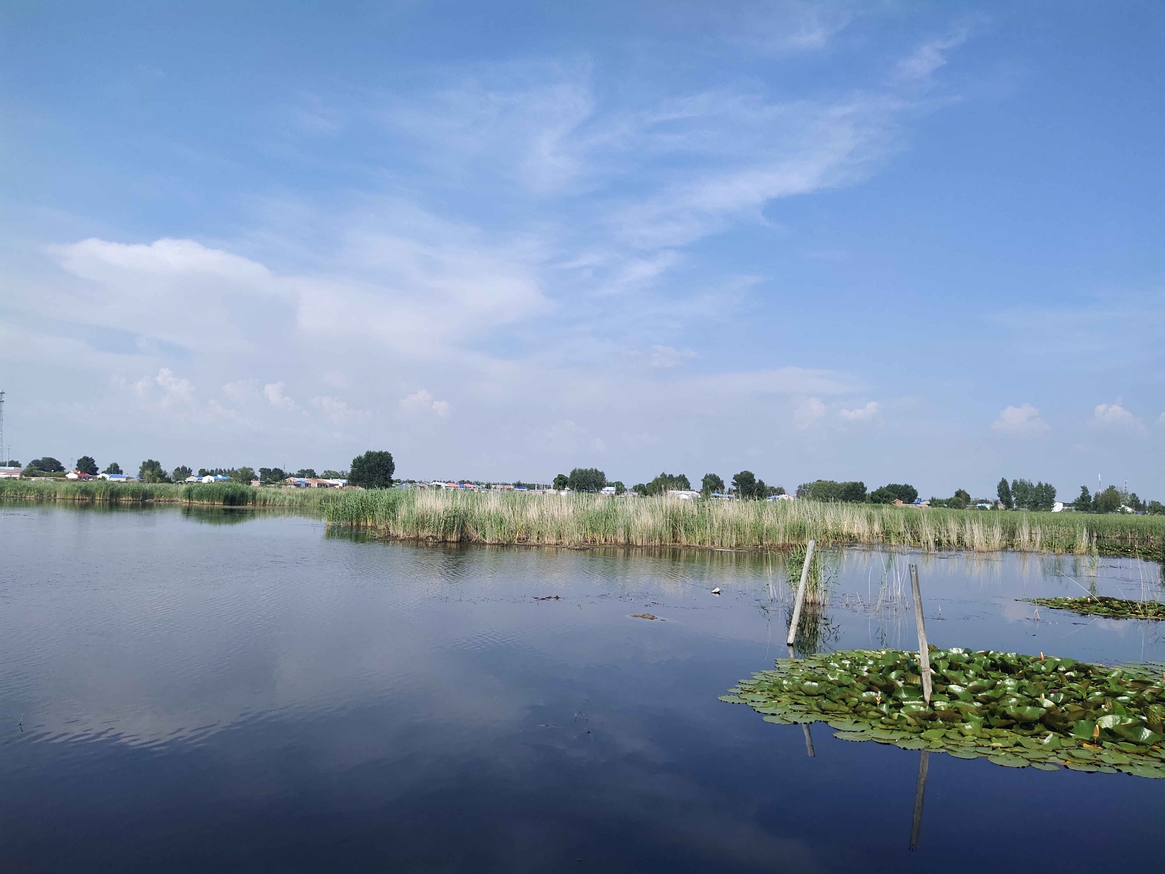 大庆市鹤鸣湖湿地景色