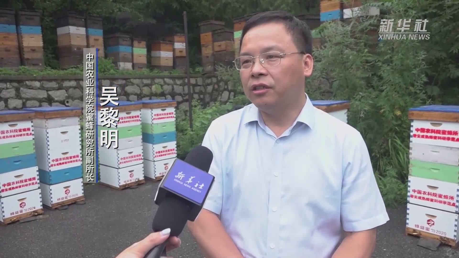 让小蜜蜂住进“小复式”多箱体成熟蜂蜜推广进行时
