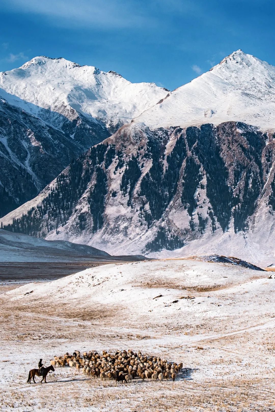  博罗科努山。位于伊犁河谷北部的北天山，山脚下的牧民正在放牧。摄影/赖宇宁