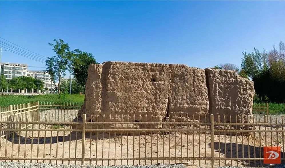 敦煌沙州郡城遗址公园披"绿装" "美丽容颜"引人驻足