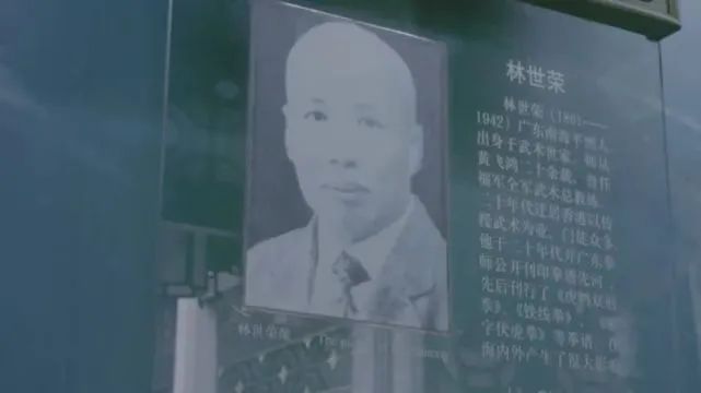 大湾区最网红街道 央视第一站为什么是这？