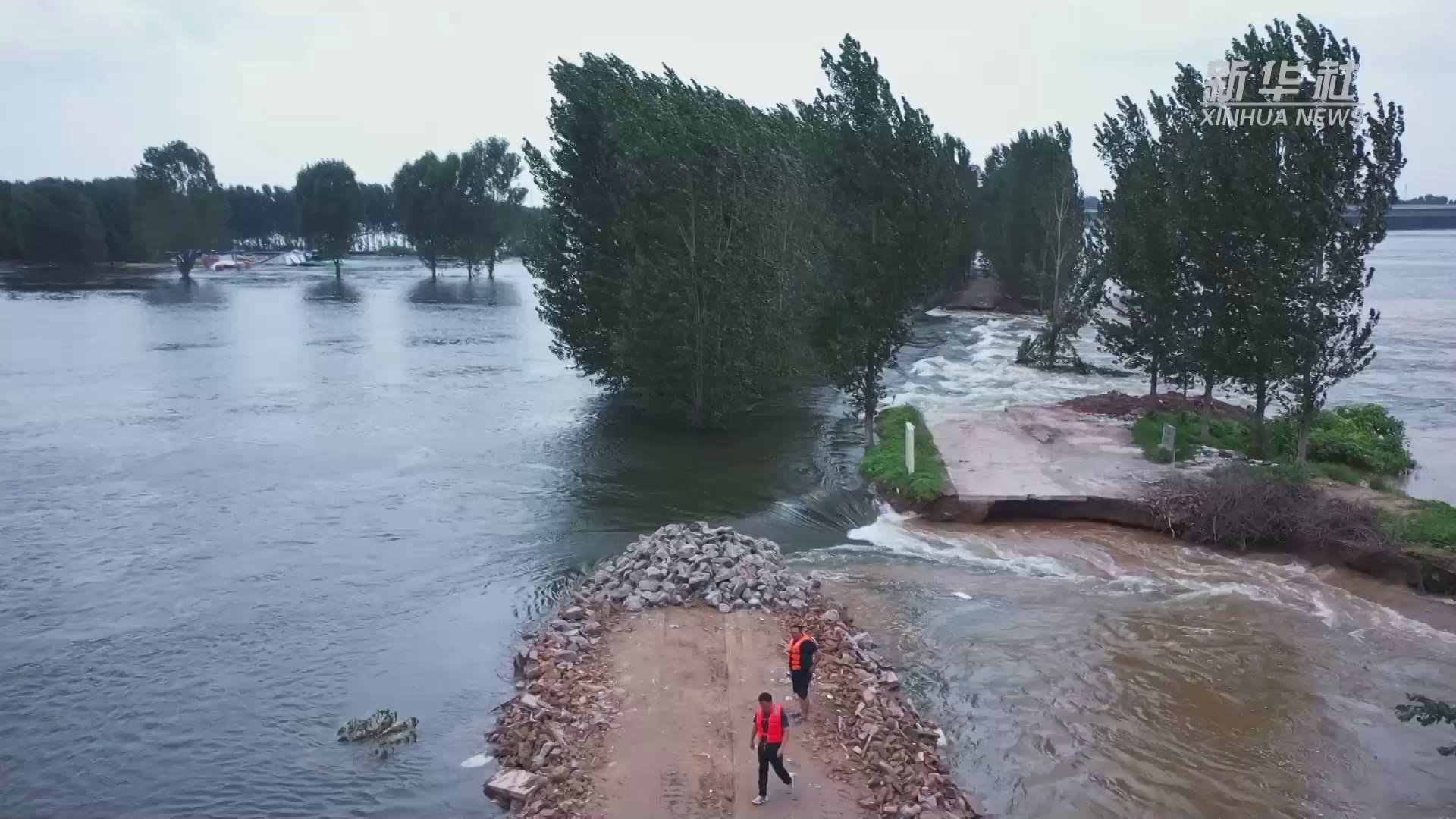 关注河南强降雨｜河南安阳滑县卫河发生漫决 当地正全力封堵