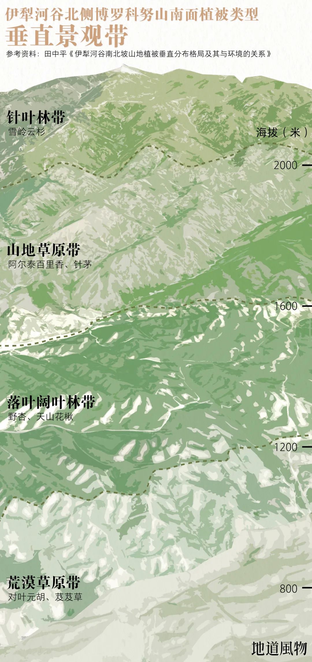  迎风的伊犁河谷北侧，降水相对丰富，山地植被也更为茂盛。 制图 /F50BB