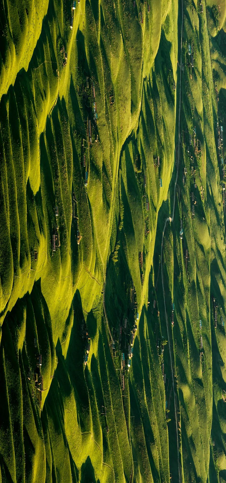 ‍ 喀拉峻草原，千山万壑，如同厚厚的绿色毛毯。摄影/赖宇宁
