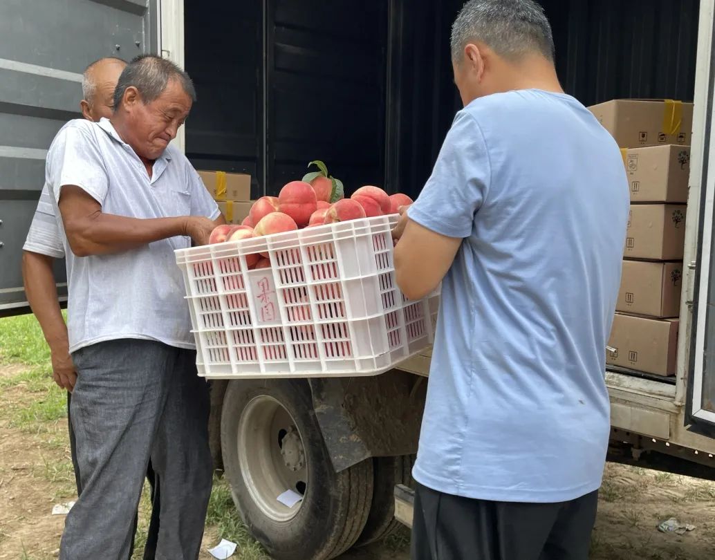 乐陵:孔镇王木腿准大学生志愿为家乡农产品代言