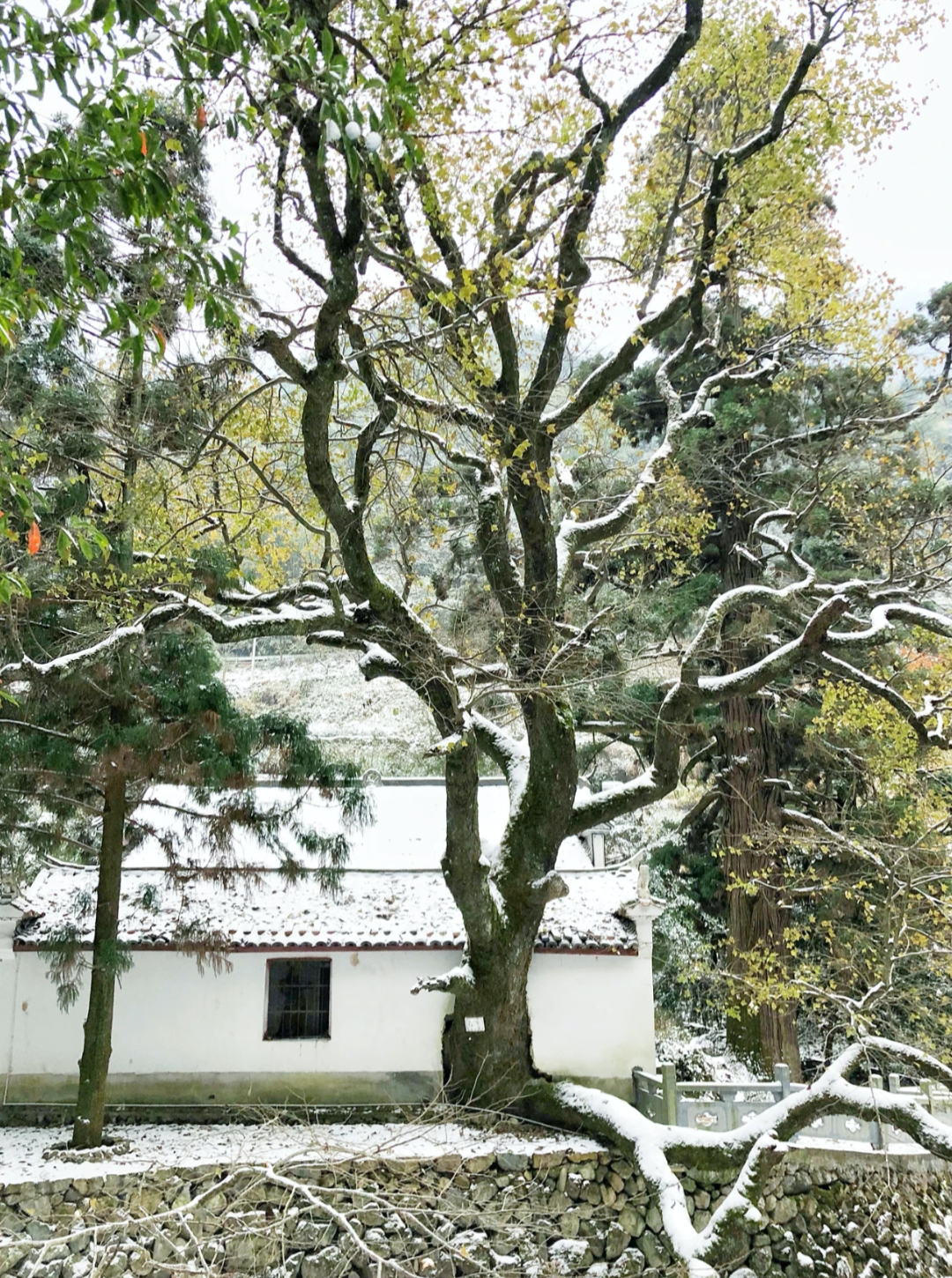 浙江山里，他们用150000块石头重建古村，神仙都想来隐居