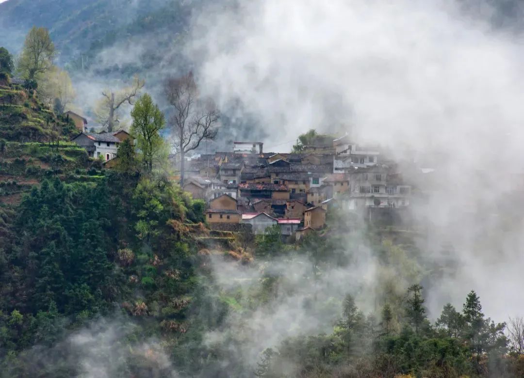 浙江山里，他们用150000块石头重建古村，神仙都想来隐居