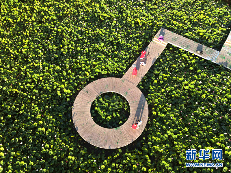 图为7月28日无人机拍摄的甘肃省张掖国家湿地公园美丽风光