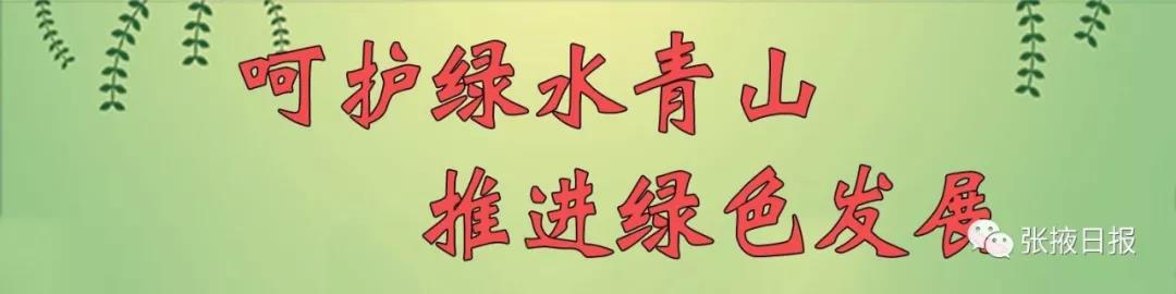 有图有真相！张掖甘州黑臭水体"洗心革面"颜值爆棚 