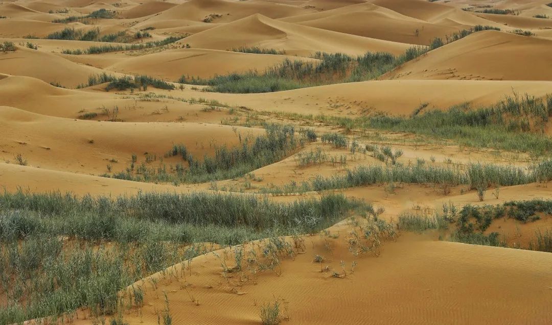 武威头道槽 腾格里沙漠“九道槽”的“第一槽”