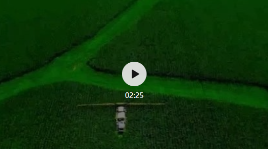 “根植黑土 司法为农” ——全媒体直播聚焦梨树郭家店“田间法庭”